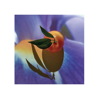 Loewe Solo Elixir Eau de Parfum 50ml - Élégance Intemporelle | Kermatone