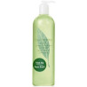 Gel Douche Green Tea Elizabeth Arden 500ml - Kermatone