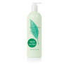 Lotion Corps Elizabeth Arden Thé Vert - Hydratation et Fraîcheur | Kermatone