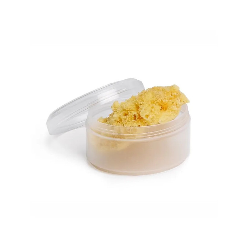 Éponge Naturelle Suavinex Big Size - Douceur & Efficacité | Kermatone