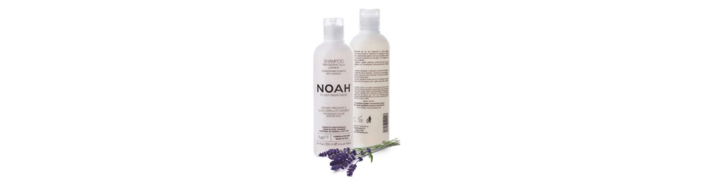 NOAH