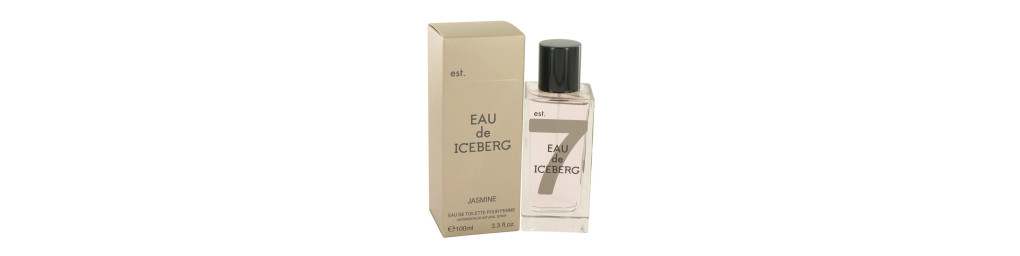 ICEBERG